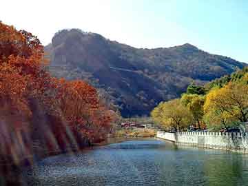 中医康复治疗师学习,中医康复治疗师的作用